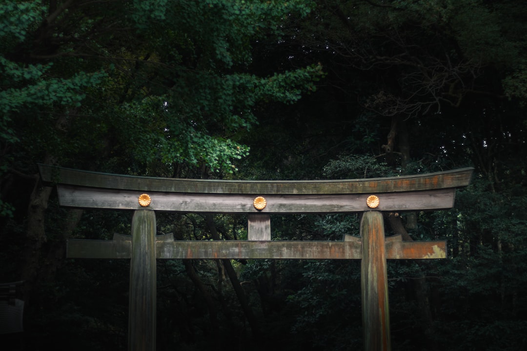 Wooden torii gate in a dark forest setting.