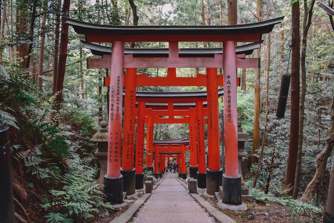 pathway of red torii gates near trees