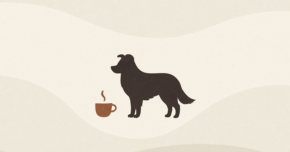 shimaken.com/collie - Coffee and Slow Living default noimage image