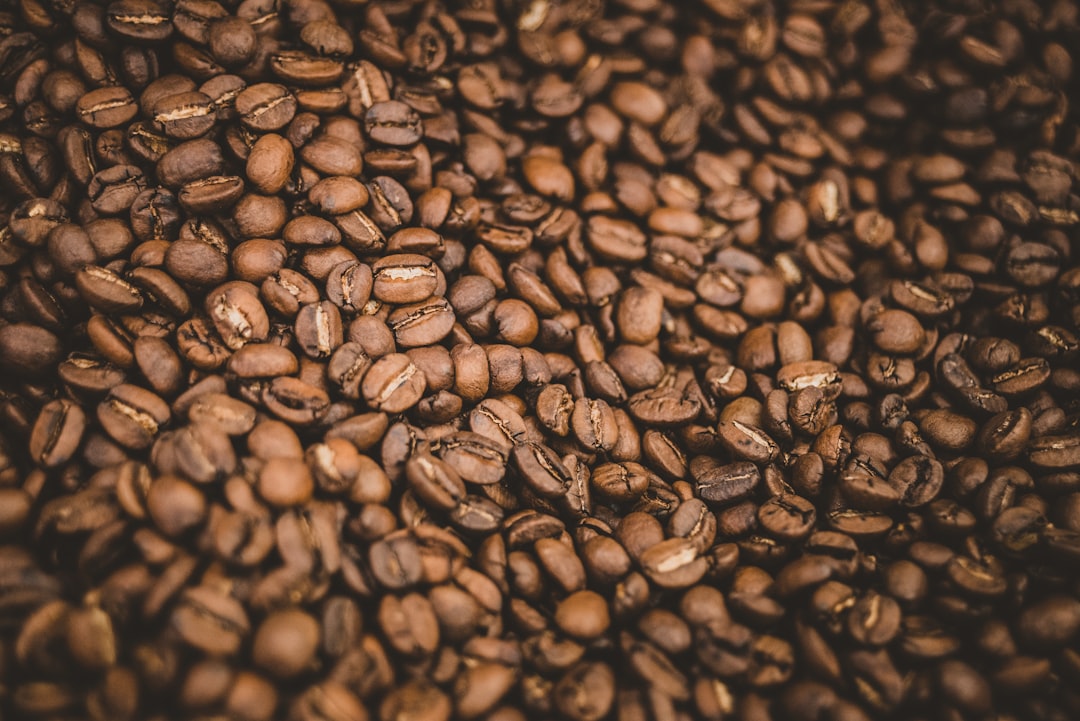 coffee beans on black surface