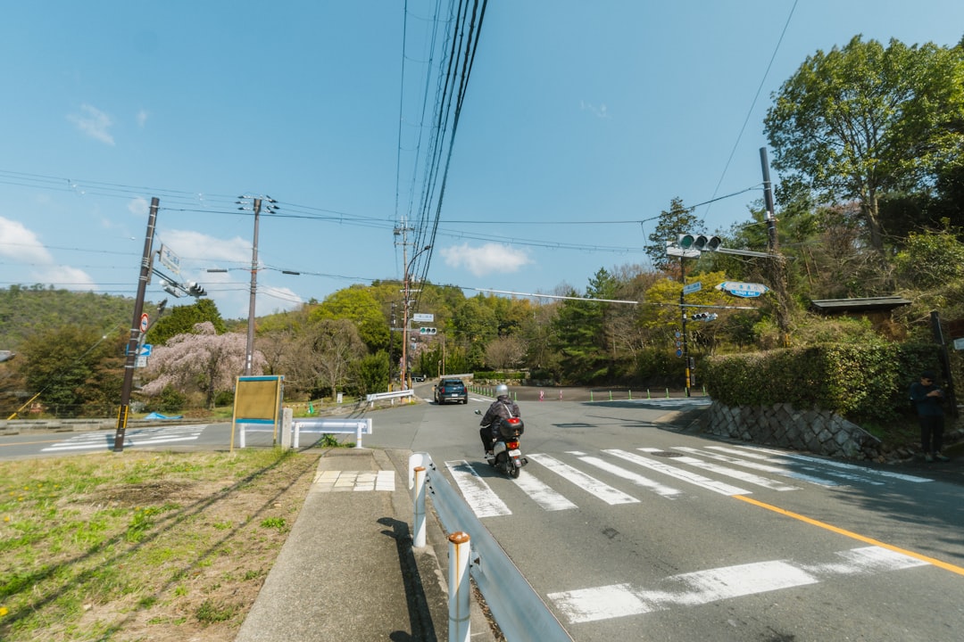 Motorcyclist approaching a crosswalk on a sunny day