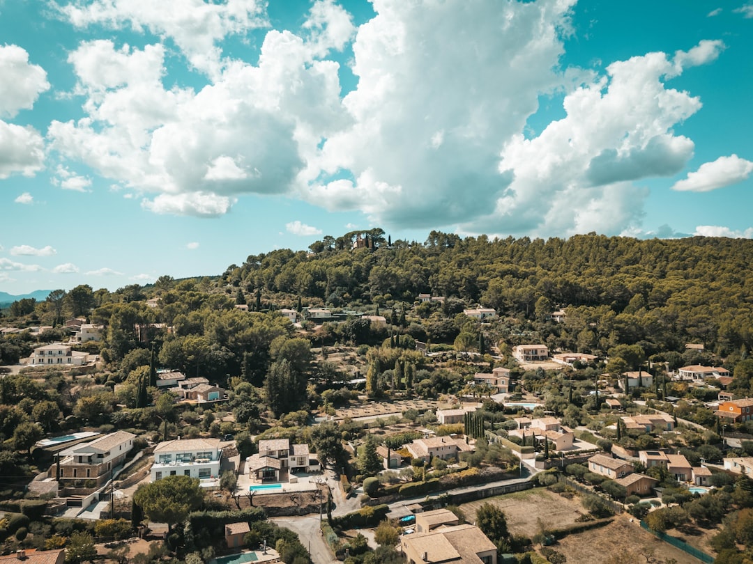 Hillside village surrounded by lush green trees under clouds.