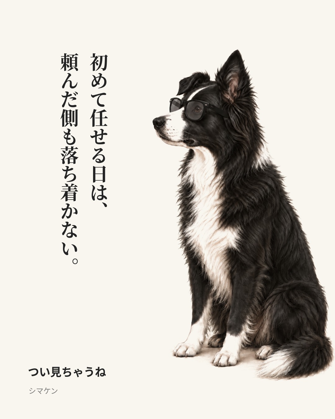 初めて任せる日は、頼んだ側も落ち着かない。　つい見ちゃうね（2026年10月15日）