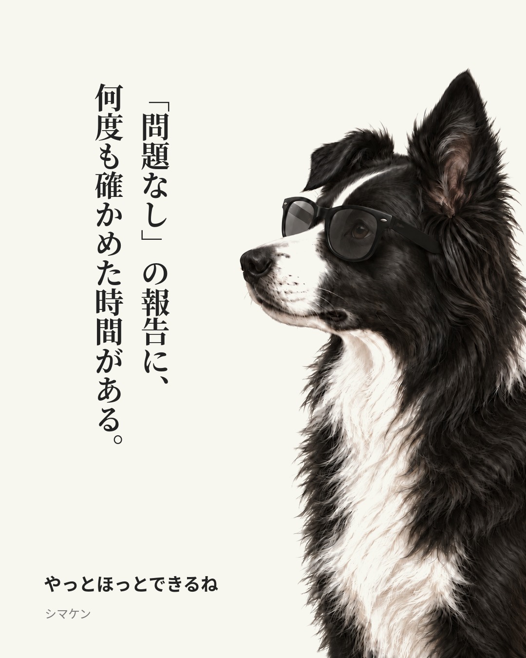 「問題なし」の報告に、何度も確かめた時間がある。　やっとほっとできるね（2026年10月19日）