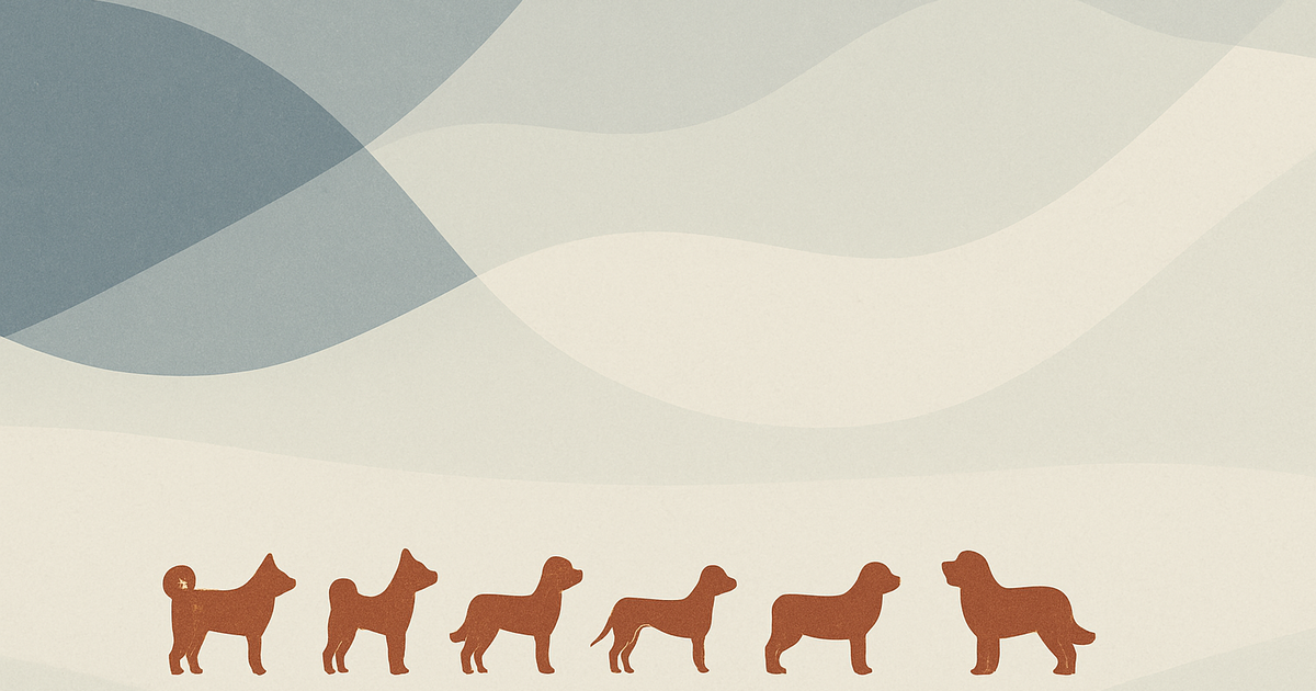 shimaken.com - 8 dog-breed editorial network default noimage image