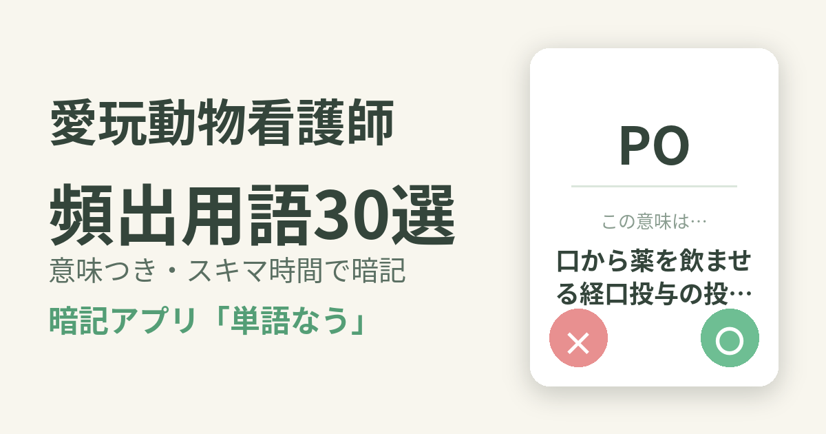 愛玩動物看護師の頻出用語を意味つきで暗記
