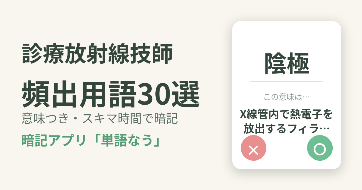 診療放射線技師の頻出用語を意味つきで暗記
