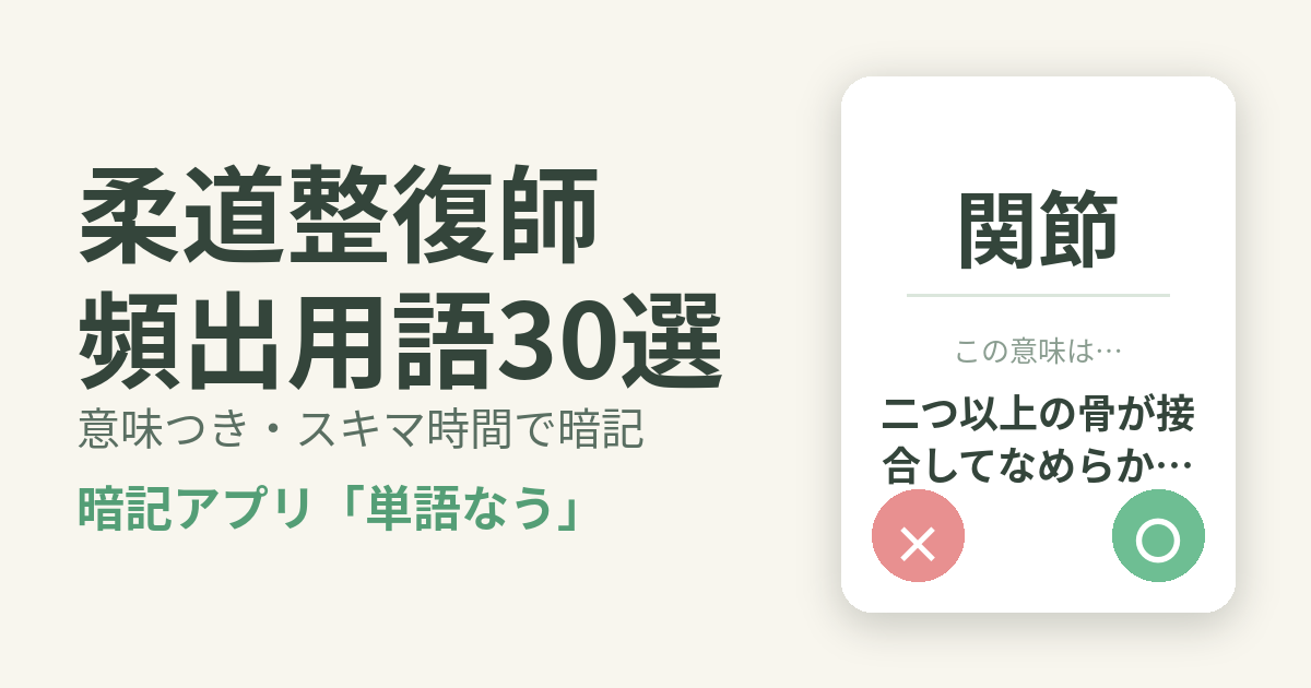 柔道整復師の頻出用語を意味つきで暗記