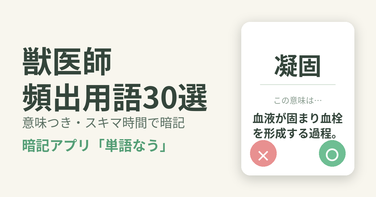 獣医師の頻出用語を意味つきで暗記