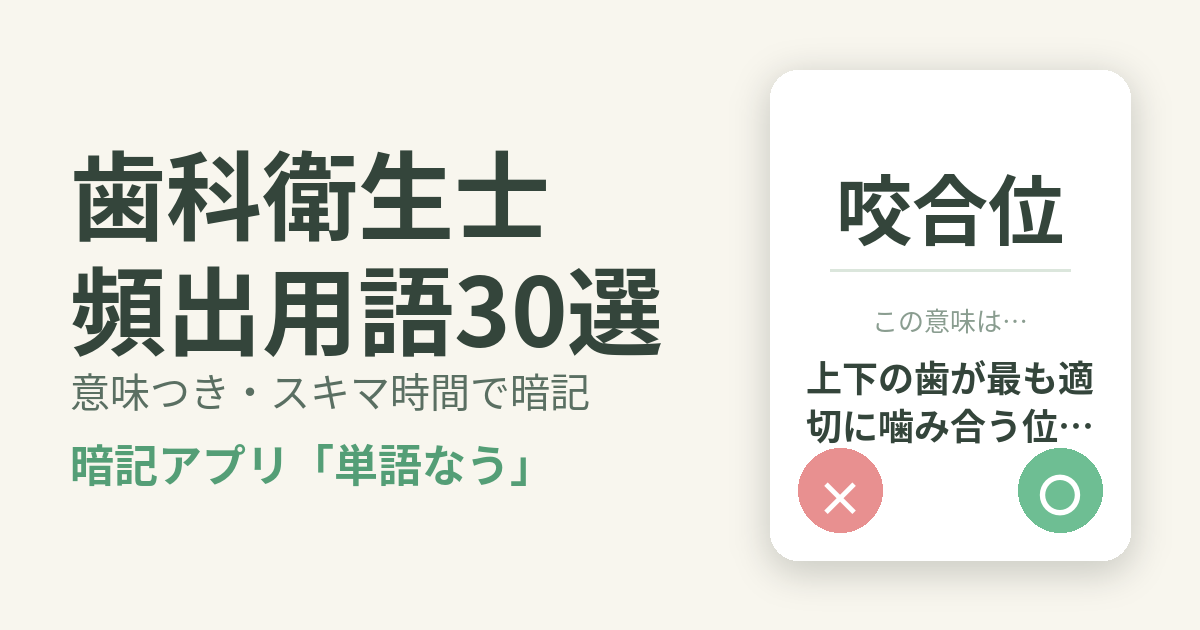 歯科衛生士の頻出用語を意味つきで暗記