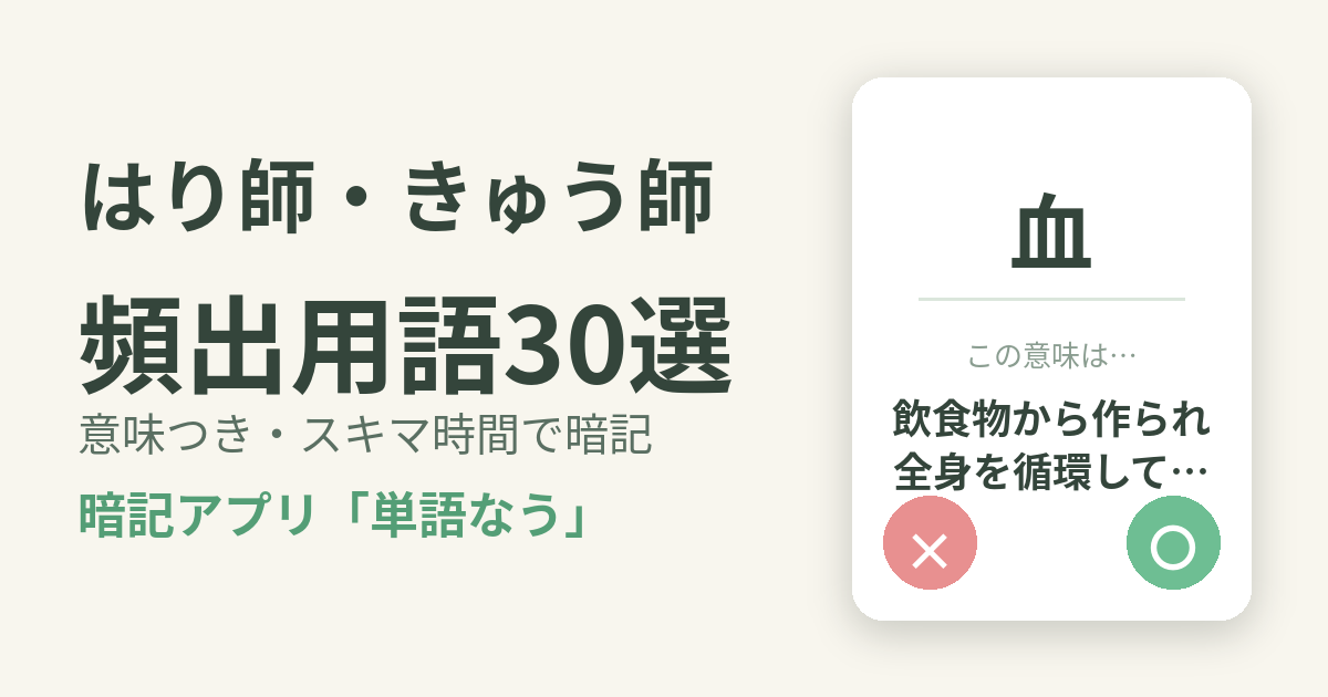 はり師・きゅう師の頻出用語を意味つきで暗記
